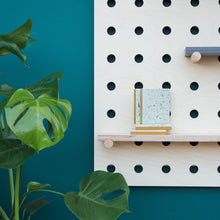 Load image into Gallery viewer, Pegboard Bundle